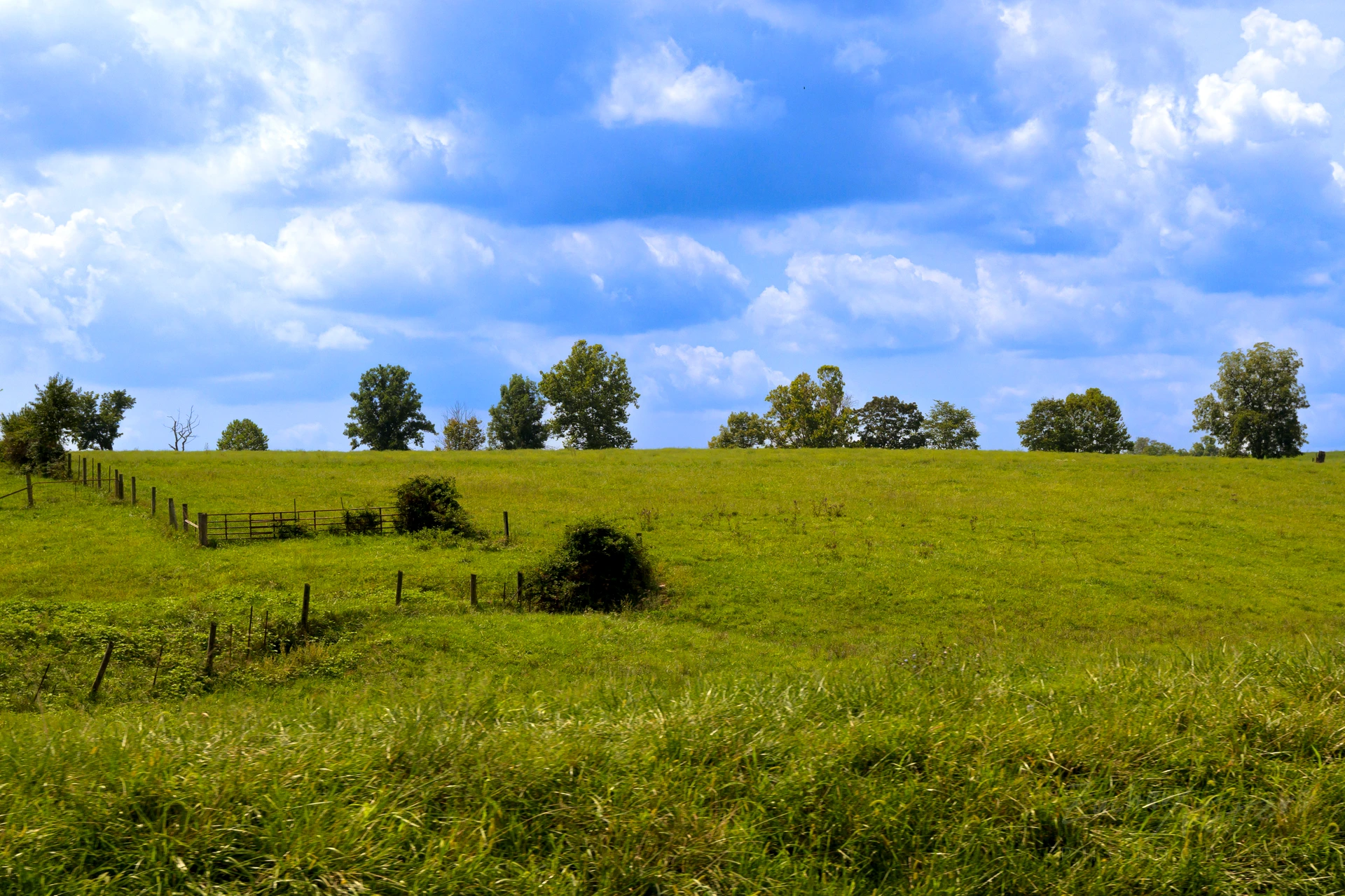 Bluegrass Hills