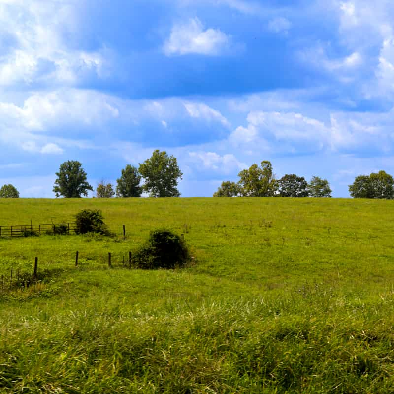 Bluegrass Hills