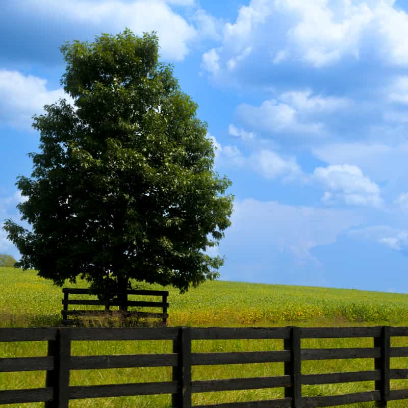 Versailles Countryside